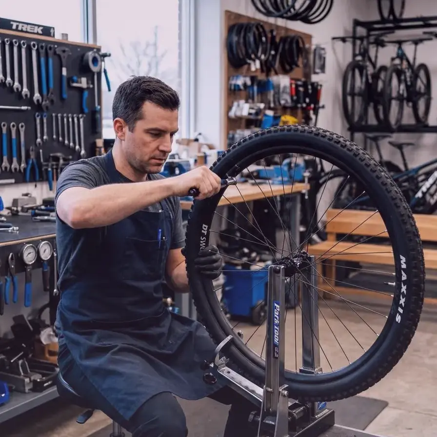 Frost Fern — bikeshop in Berlin